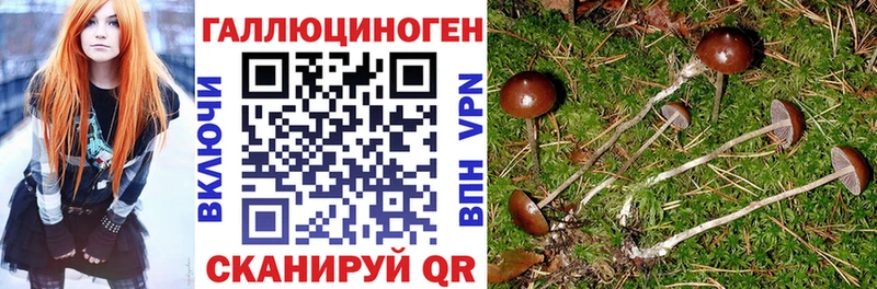 KRAKEN ссылки Балей Псилоцибиновые грибы Cubensis