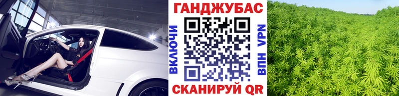 где купить наркоту  Балей  Бошки Шишки тримм 
